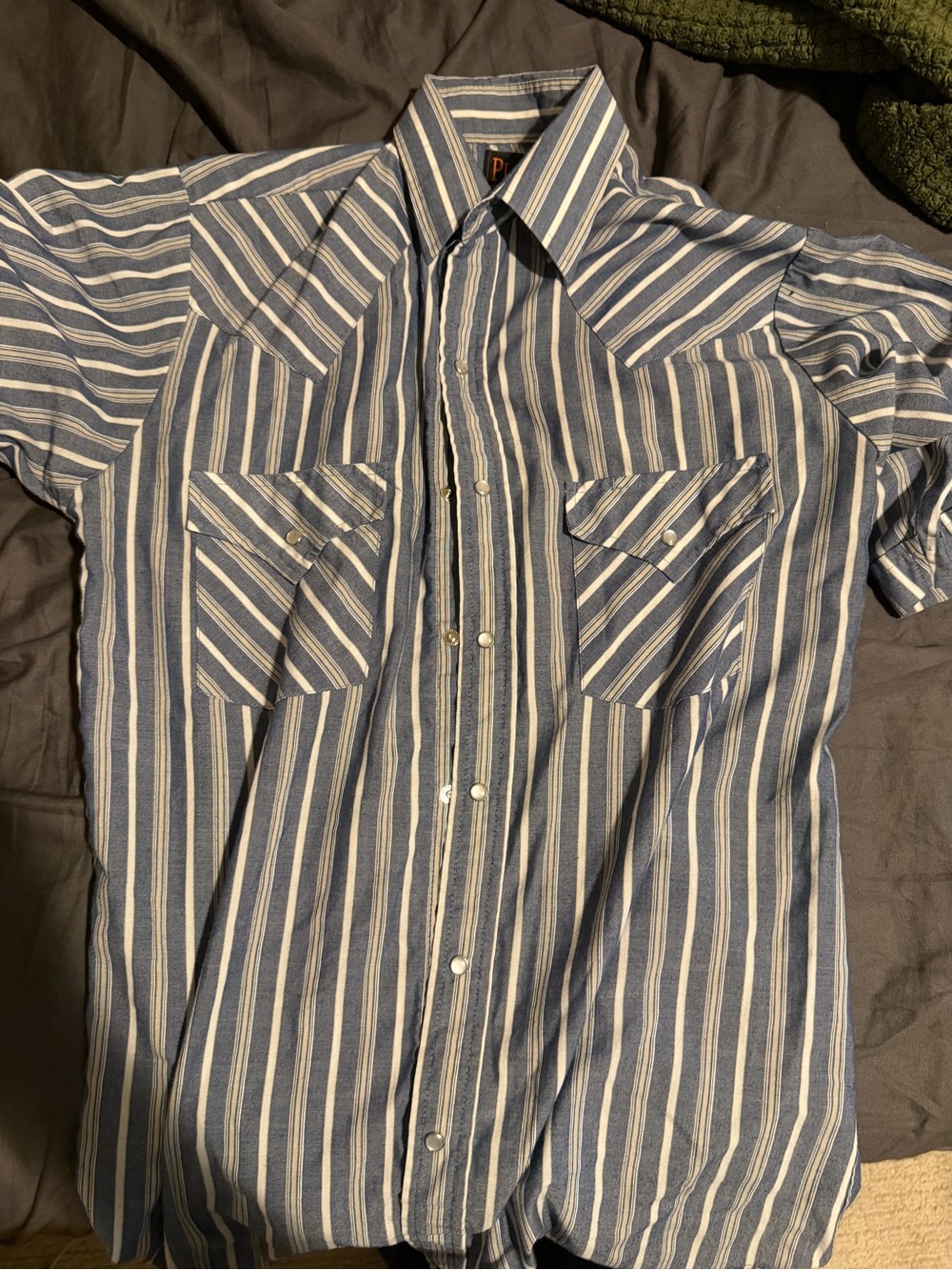 Men's Striped Button-Down Western Shirt in Blue and White